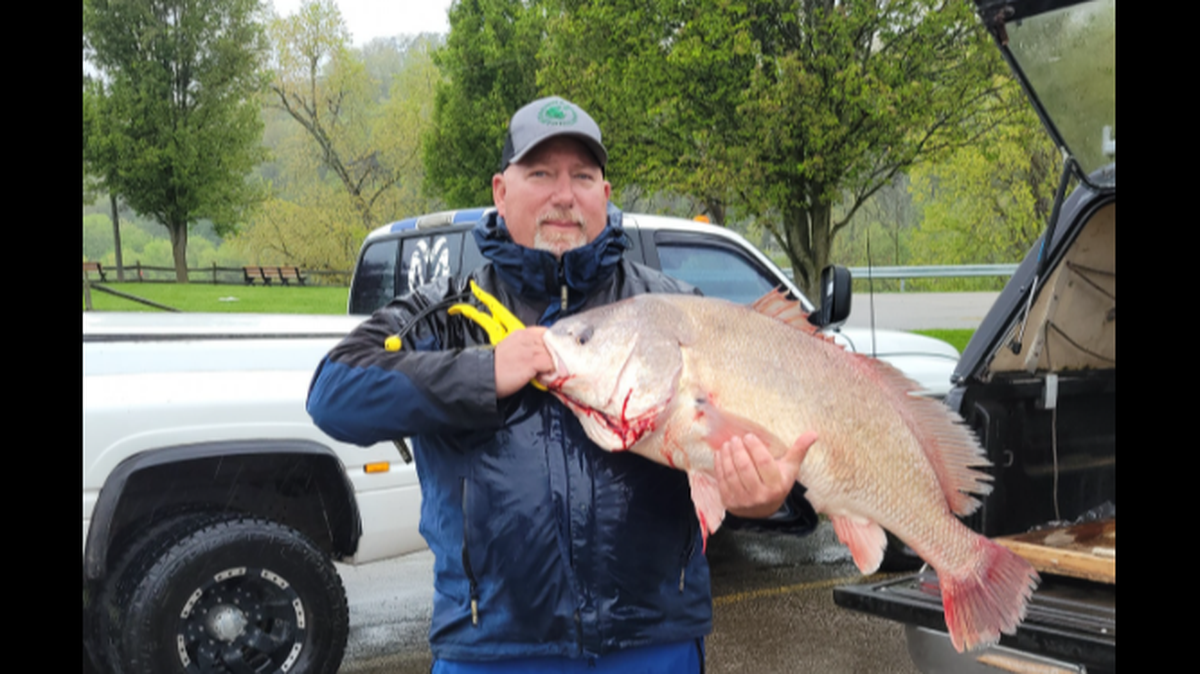 John Gibson of West Virginia was looking for a catfish ended up breaking a state’s record when he caught a 27.88-pound freshwater drum in the Kanawha River.