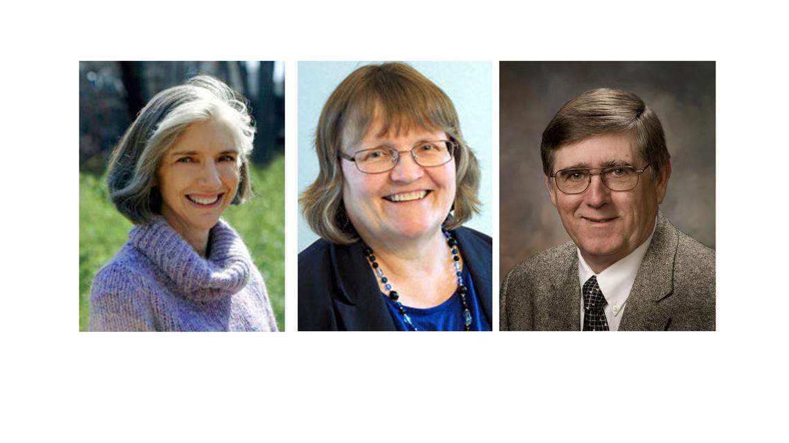 Sally Greene, from left, Jamezetta Bedford and Earl McKee were leading in the race for Orange County Board of Commissioners in the Tuesday, May 8, 2018, primary.