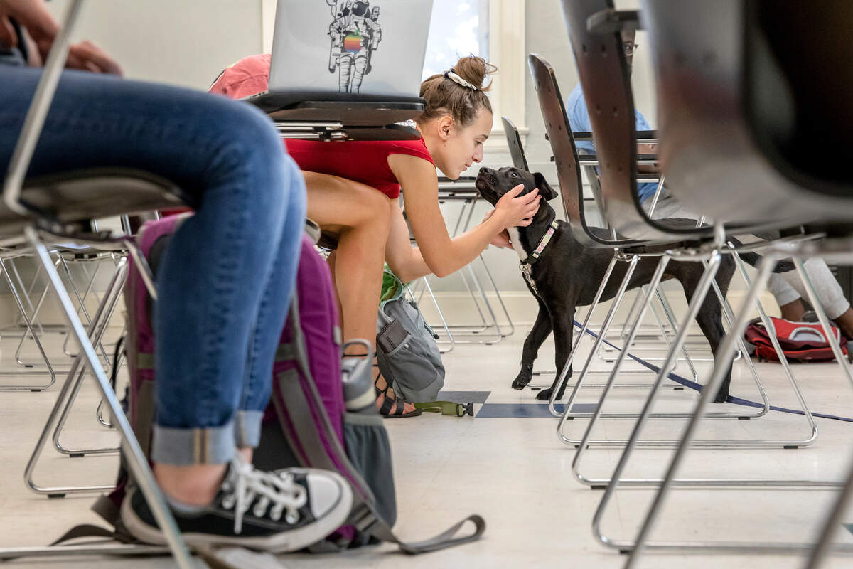 UNC Chapel Hill students attend a summer anthropology class titled "Canine Cultures," taught by associate professor Margaret Wiener. Pictured is rising senior Avery Mavroudis greeting a dog from UNC PAWS.