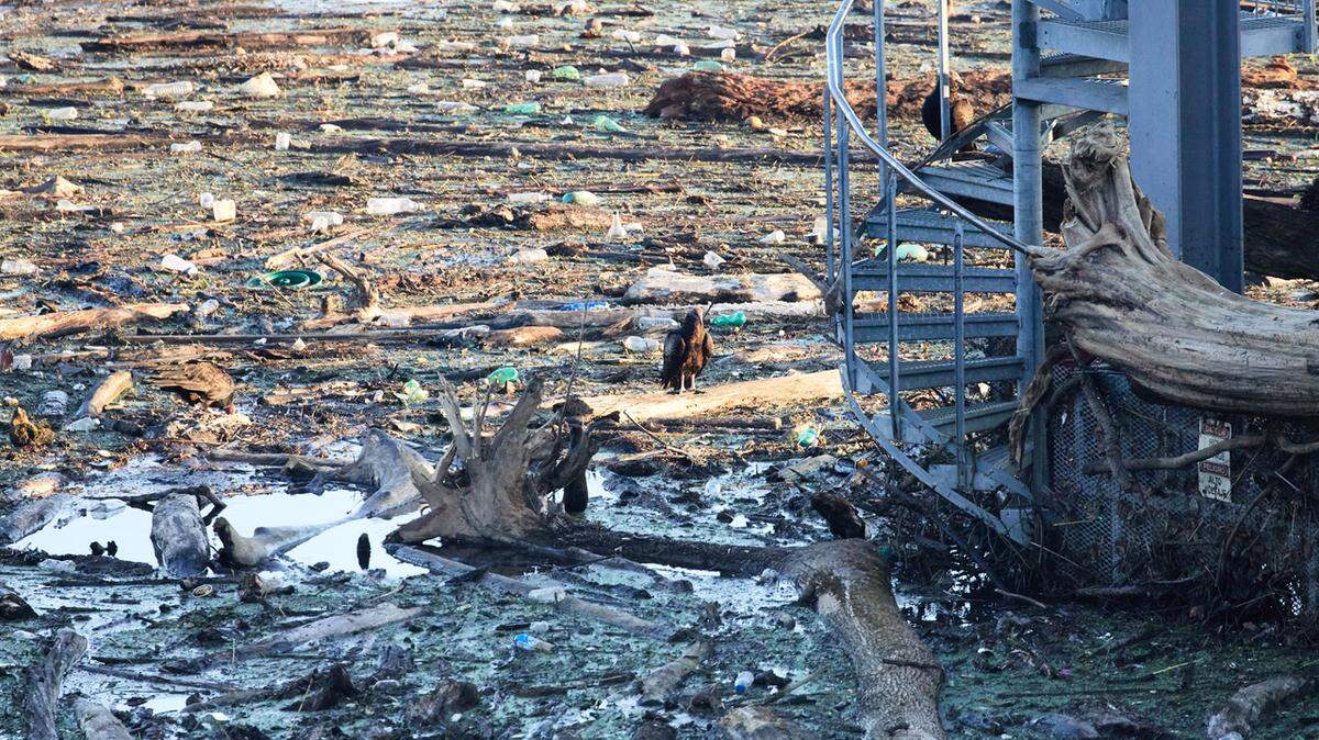 Debris collected near face of Jordan Lake Dam following Hurricane Florence last month.
