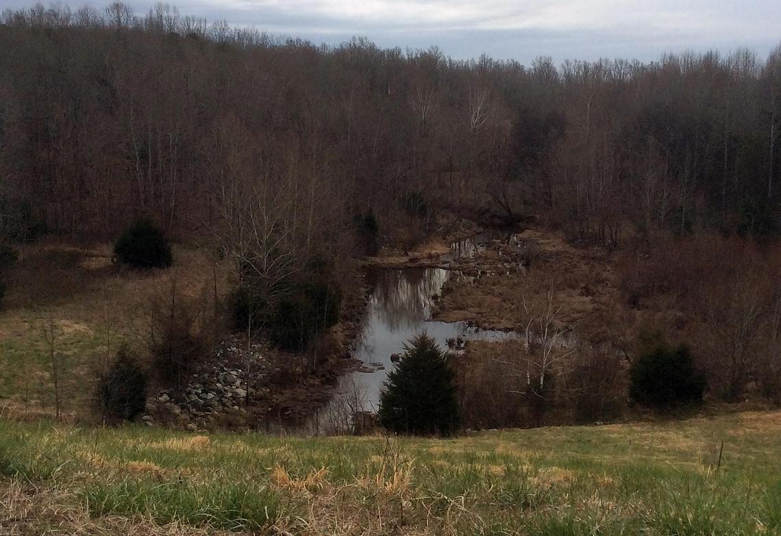 The West Fork of the Eno River winds south from the reservoir's dam toward Lake Ben Johnson and the Water Treatment Plant in Hillsborough. Besides the rocks that now shore up its banks, the river is largely unchanged since reservoir was completed in 2000, said town utilities director Nathan Cates.