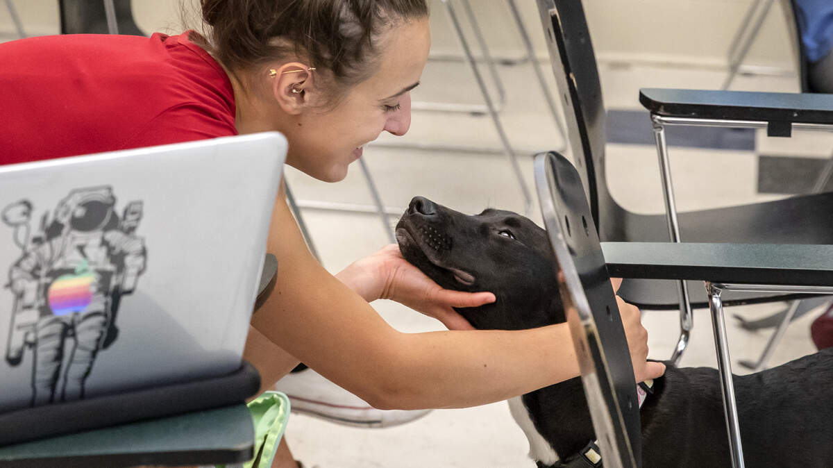 UNC Chapel Hill students attend a summer anthropology class titled "Canine Cultures," taught by associate professor Margaret Wiener. Pictured is rising senior Avery Mavroudis greeting a dog from UNC PAWS.