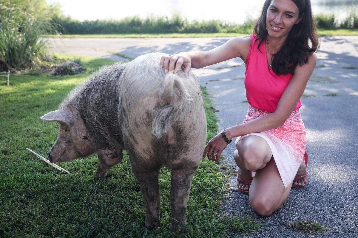 Alesja Daehnrich pets Toby the pig outside the barn at Blind Spot Animal Sanctuary where she and her husband Alex rescue farm animals on Thursday, July 12, 2018.
