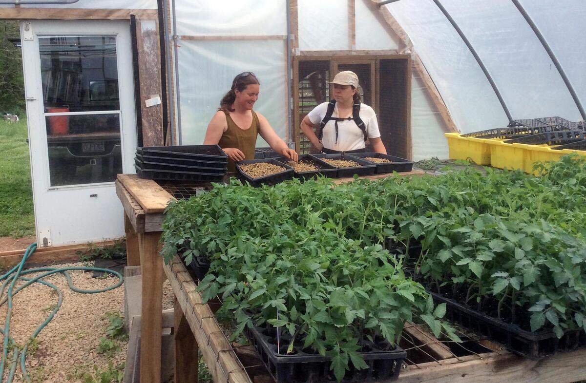 Tracy Lafleur, owner of Sugar Hill Produce, and Nia Galas prepare trays for growing seedlings on April 27, 2018, at the Breeze Farm incubator in Hurdle Mills, NC.