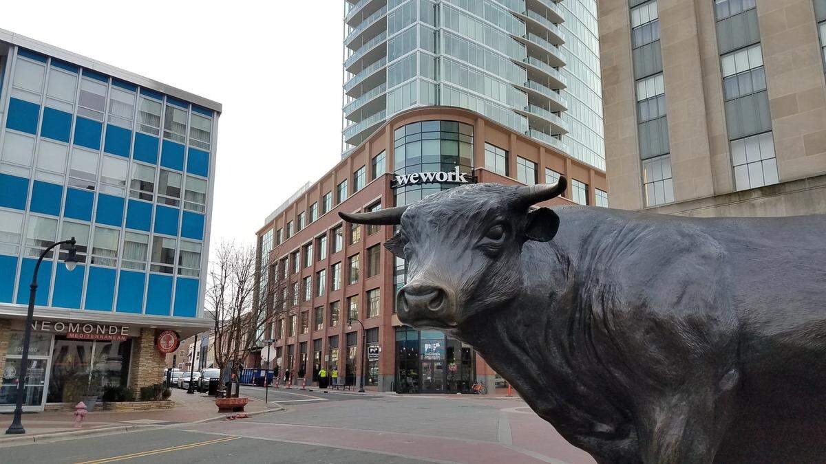 The Major the Bull statue at CCB Plaza is flanked by Unscripted Hotel and 21c Museum Hotel, with One City Center directly behind him.