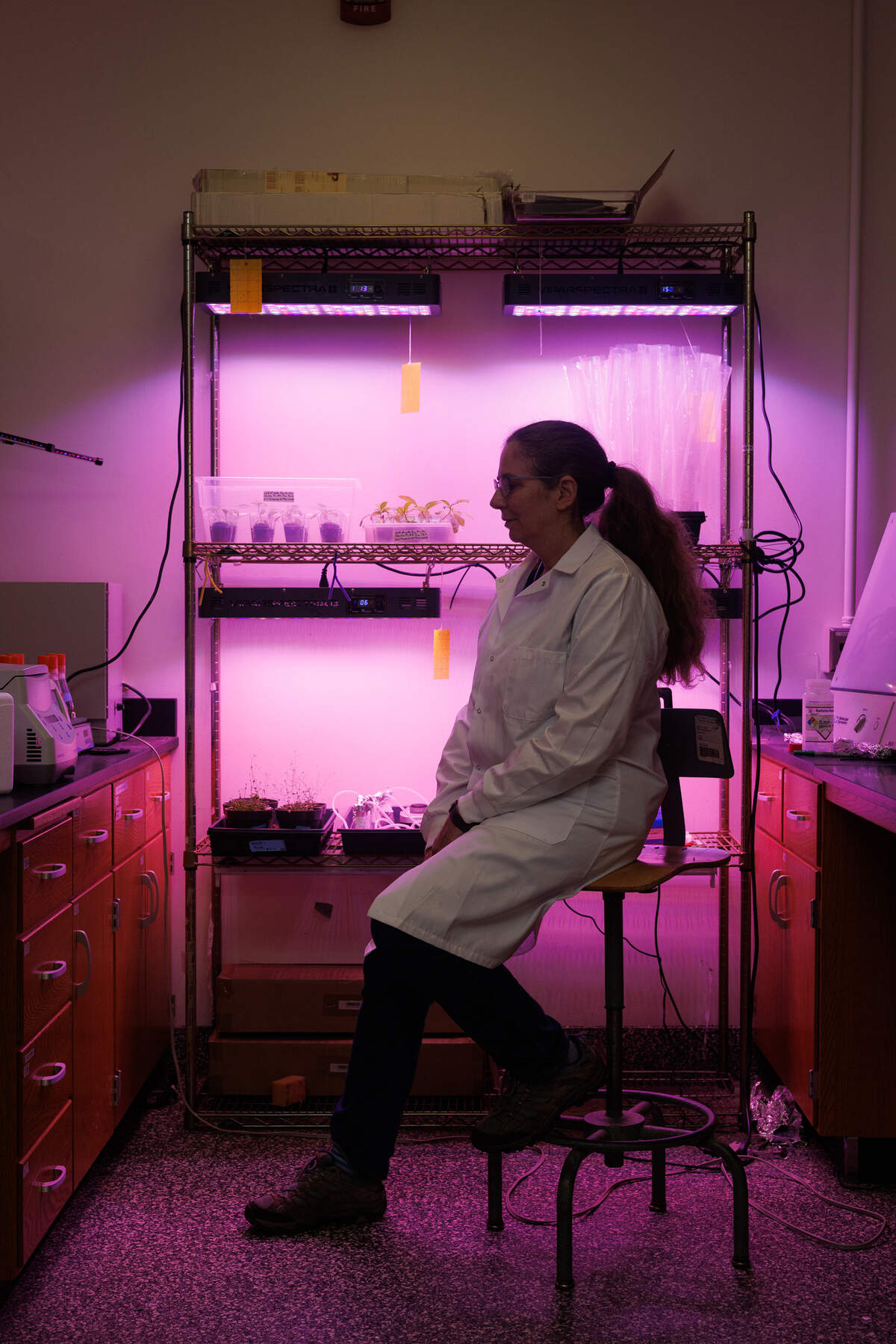 Colleen Doherty stands in a laboratory, surrounded by plants and equipment.