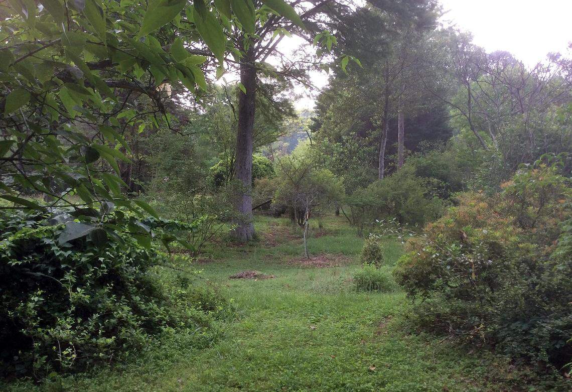 The Keith Arboretum has over 4,000 unique species of trees and plants, making it one of the largest arboretums on the East Coast.