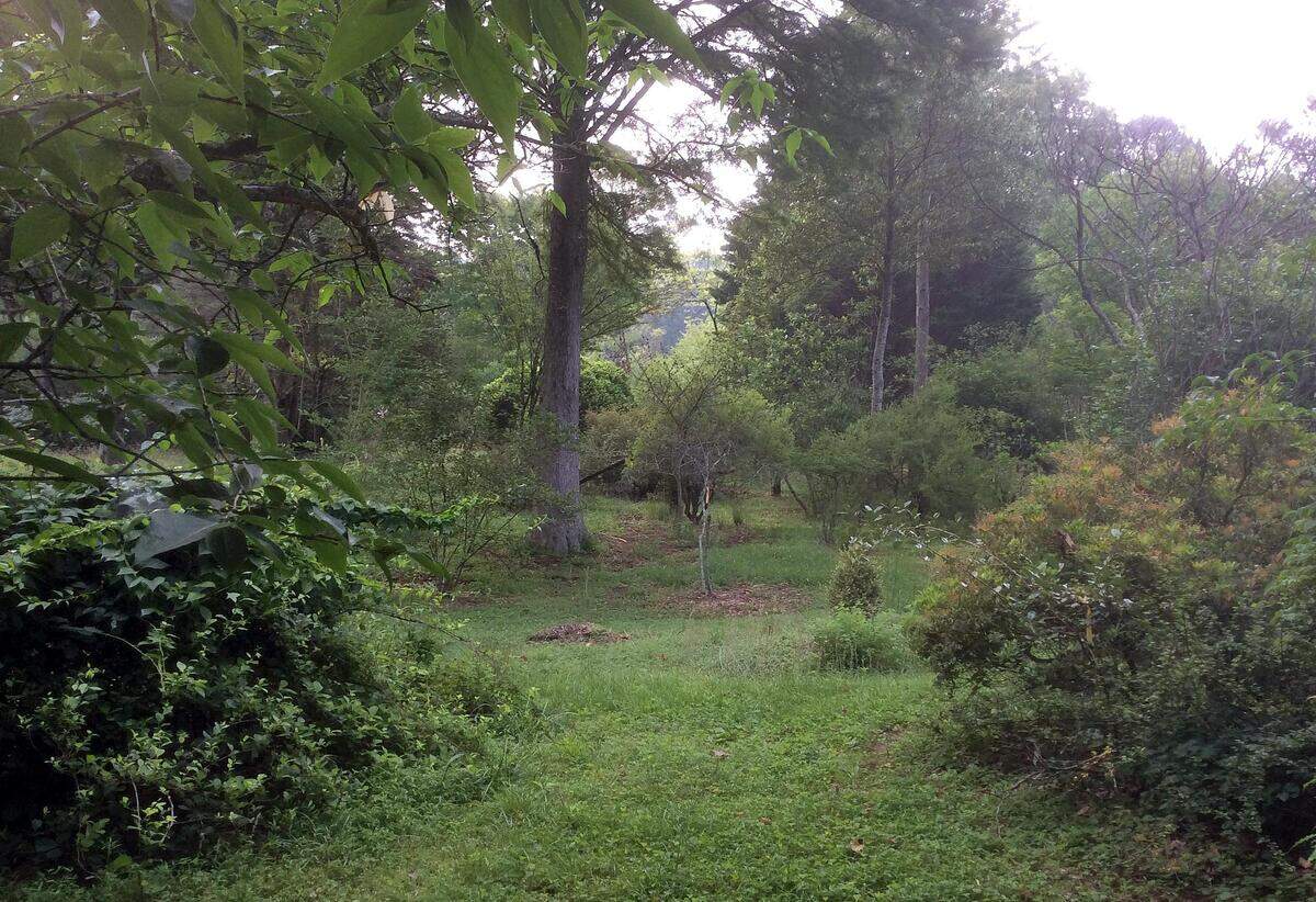 The Keith Arboretum has over 4,000 unique species of trees and plants, making it one of the largest arboretums on the East Coast.