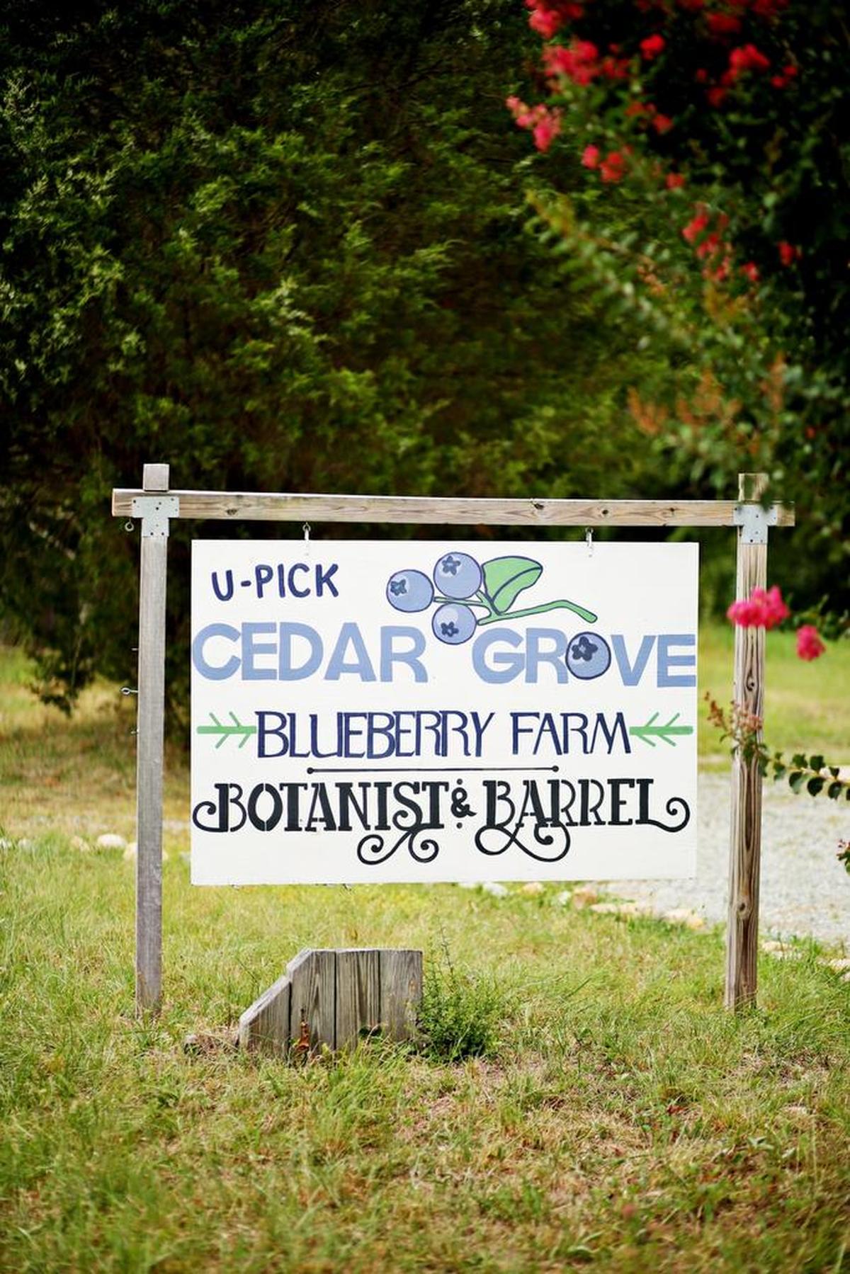 Botanist and Barrel is located on the family-owned Cedar Grove Blueberry Farm.