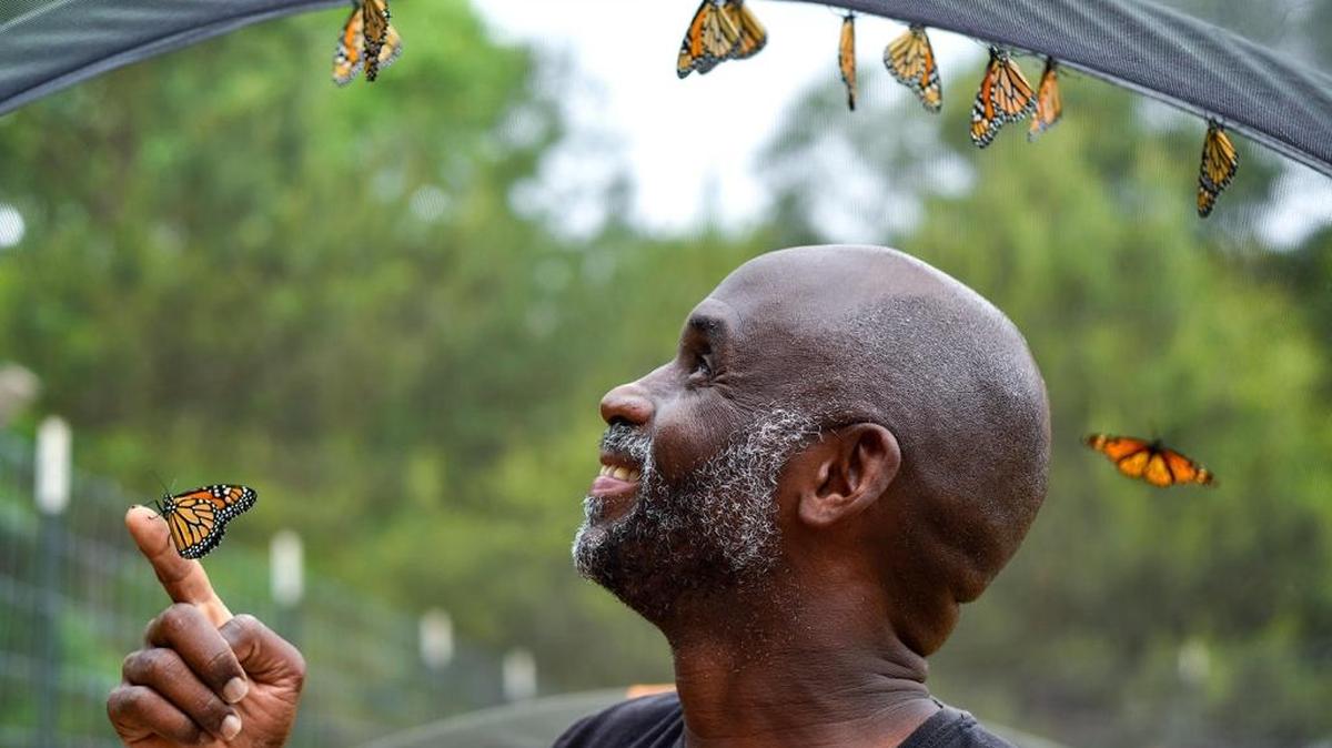 Joel Enge poses for a portrait with monarch butterflies at Kingdom Life Academy's garden in Tyler, Texas, on May 12. Enge has been raising butterflies as a hobby for 16 years and typically does a butterfly release each year with either his students or his church.