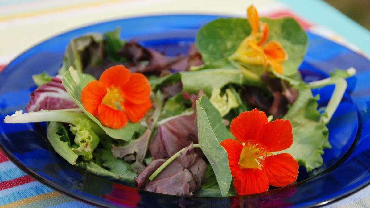 Add a bit of color and interest to salads with edible flowers like nasturtium (pictured).