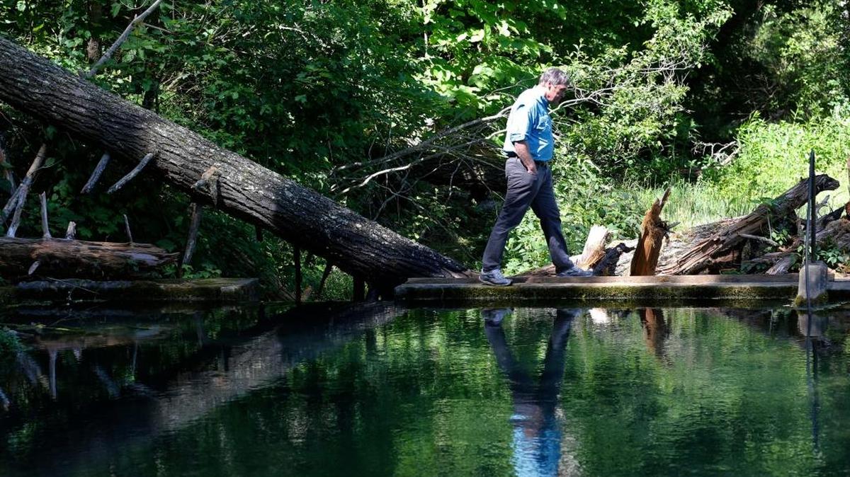 In this June 6, 2017 file photo, Virginia Department of Environmental Quality Firector, David Paylor walks along a retention pond for a spring near the route of the proposed Atlantic Coast Pipeline in Bolar, Va. The Federal Energy Regulatory Commission, which oversees interstate natural gas pipelines, released its final environmental impact statement Friday, July 21, 2017 for the proposed 600-mile (965-kilometer) pipeline, which has broad support from political and business leaders but is staunchly opposed by environmentalists and many affected landowners.