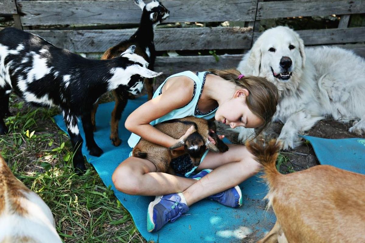 Claire Fleming, 9, center, cradles a baby goat at Hux Family Farm in Durham on June 29, 2017. Fleming attended day camp at the farm which included playtime and yoga with the goats as well as helping care for the goats.