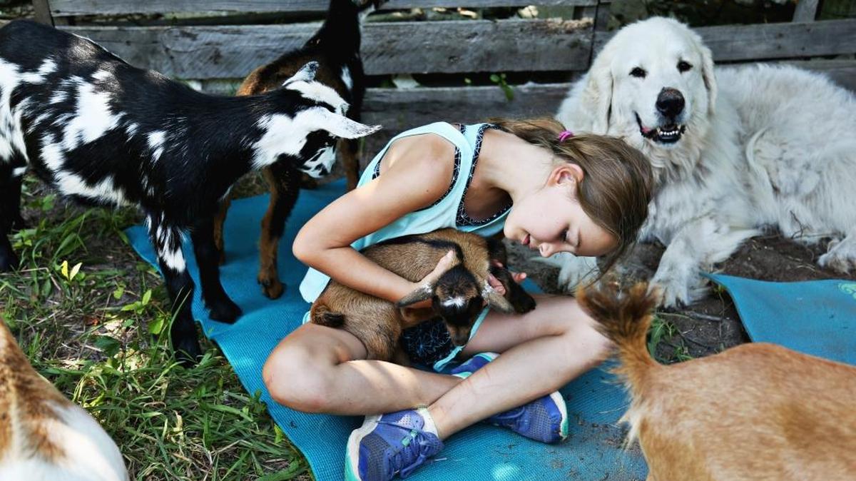 Claire Fleming, 9, center, cradles a baby goat at Hux Family Farm in Durham on June 29, 2017. Fleming attended day camp at the farm which included playtime and yoga with the goats as well as helping care for the goats.