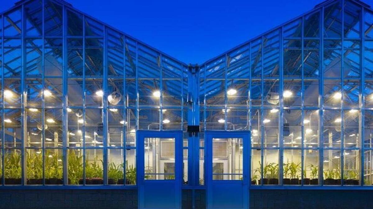 The greenhouse at Alexandria Center for Science, Technology and Agriculture in Research Triangle Park, which is where AgTech Accelerator is located.