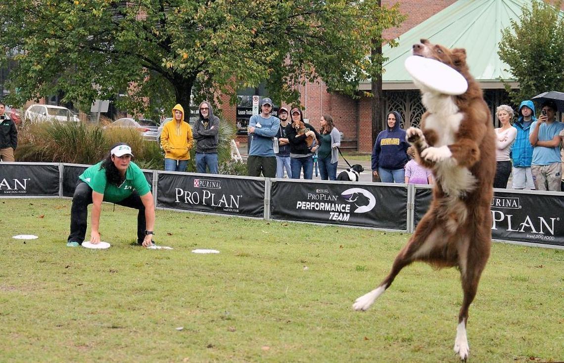 Danielle O’Neille throws a Frisbee to Ratchet the border collie on Sunday in Durham Central Park. Hundreds of dog lovers and their pets gathered for Barktoberfest held by Durham Parks and Recreation and Beyond Fences (formerly the Coalition to Unchain Dogs).
