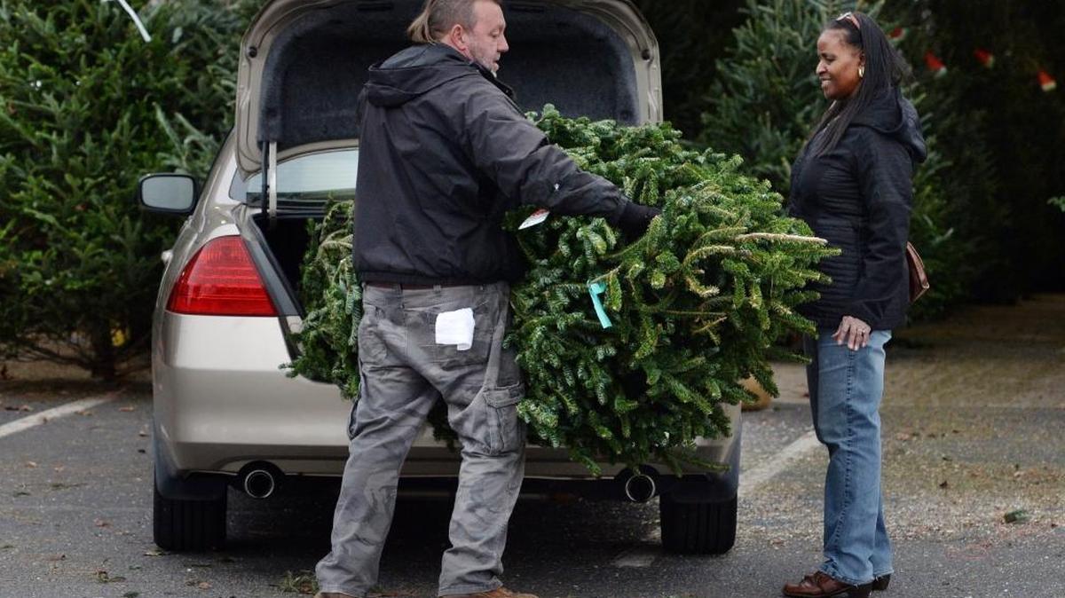 Is your Christmas tree making you sick? Cleaning experts say “Christmas tree syndrome” is real, and the mold, dust, fumes and chemicals from your holiday tree and decorations are responsible.