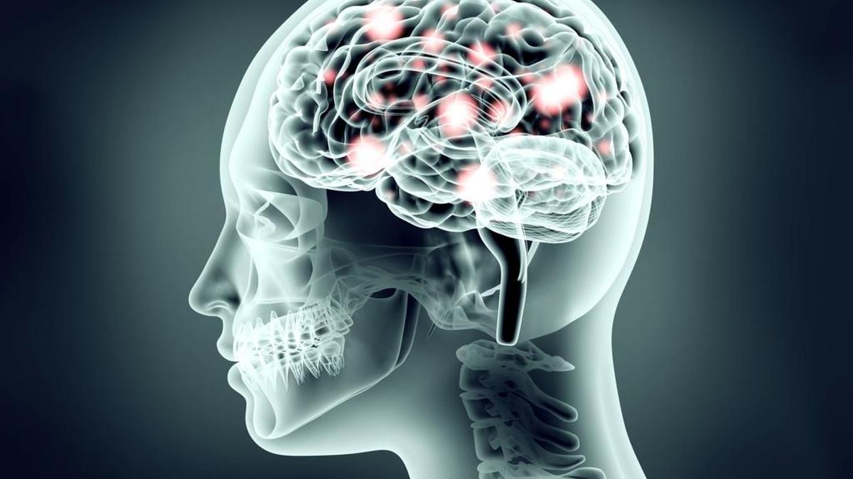 A recent study by Duke University’s Department of Psychology and Neuroscience suggests a possible connection between good cognitive health and reducing anxiety.