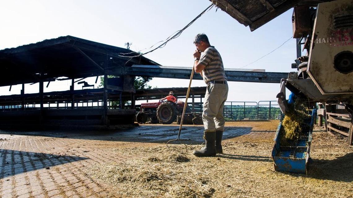 In Orange County, a millennial farm boy follows in his father’s footsteps.