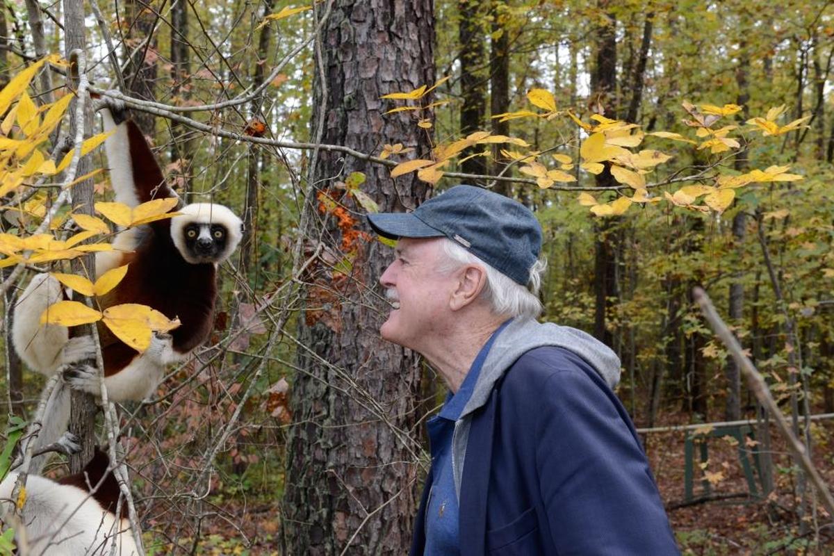 British comedian John Cleese meets Romulus, a Coquerel’s sifaka, at the Duke Lemur Center in 2015.
