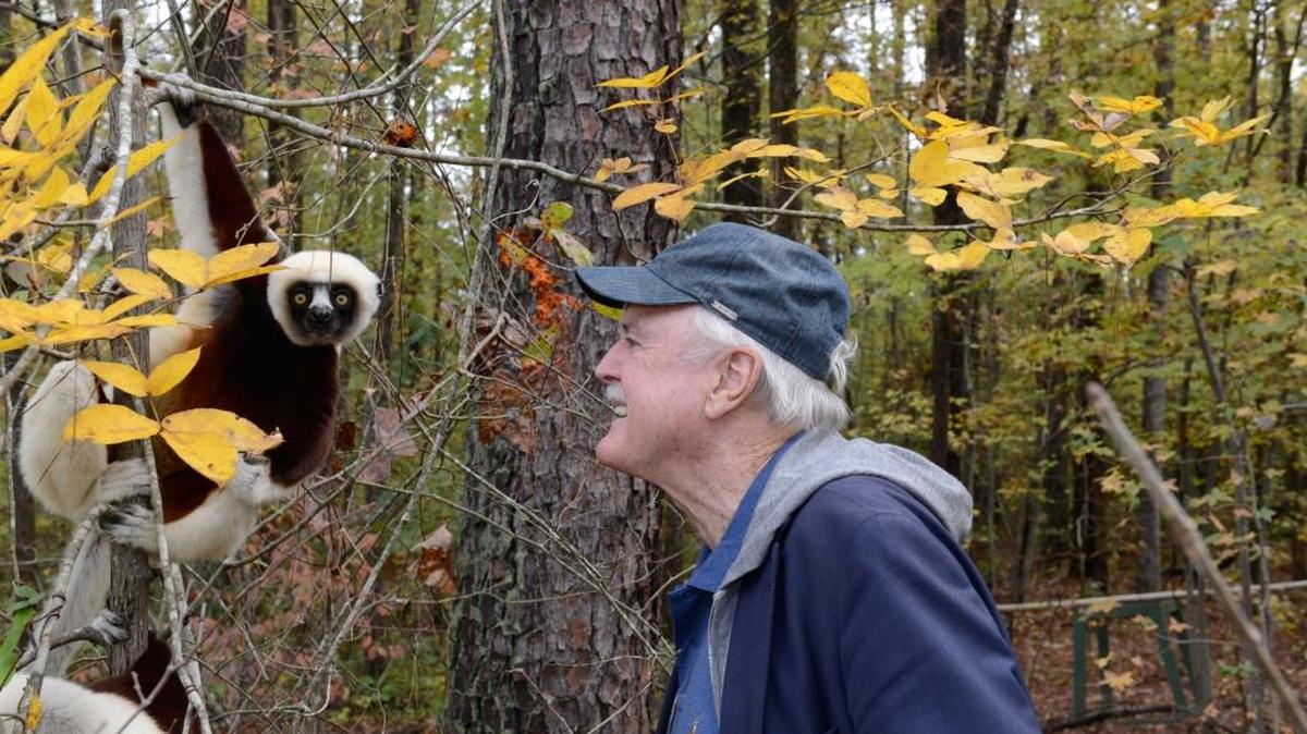 British comedian John Cleese meets Romulus, a Coquerel’s sifaka, at the Duke Lemur Center in 2015.