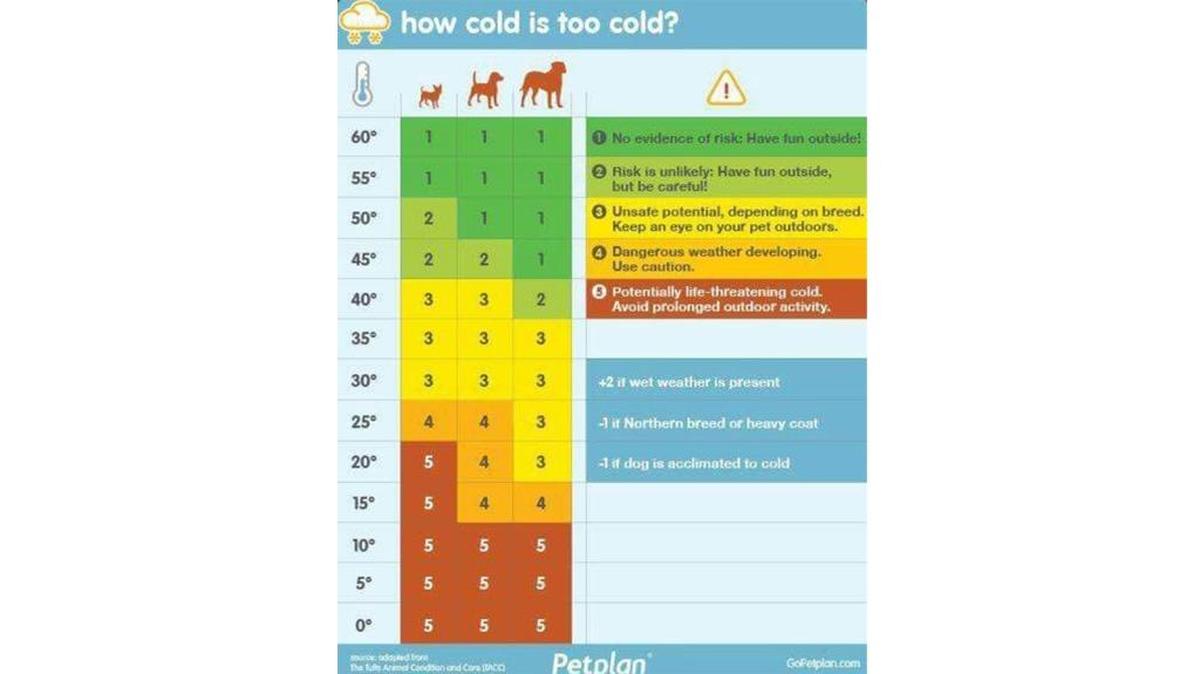 Petplan.com developed a chart that offers guidance to pet owners for when to bring their animals inside during extremely cold weather.