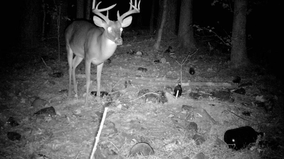 A trail cam photo confirmed a large buck was in the area Sevin Carter liked to hunt.