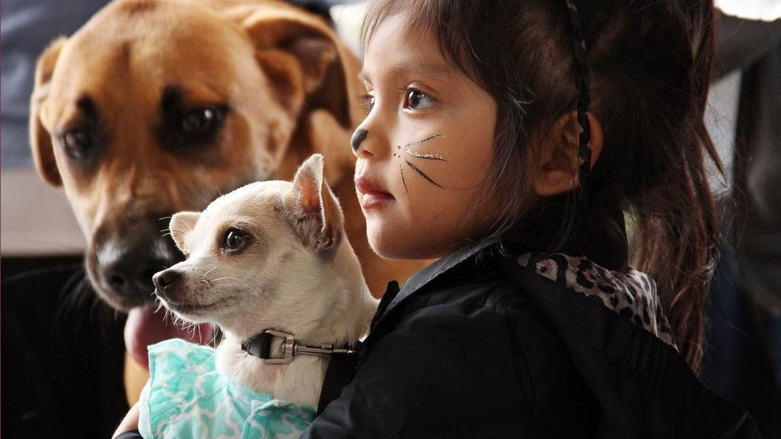 Sophie Mendoza, 2, watches the contests with her dogs Tinkerbell and Max (left) at Barktoberfest on Sunday in Durham Central Park. Hundreds of dog lovers and their pets gathered at the event held by Durham Parks and Recreation and Beyond Fences (formerly the Coalition to Unchain Dogs).