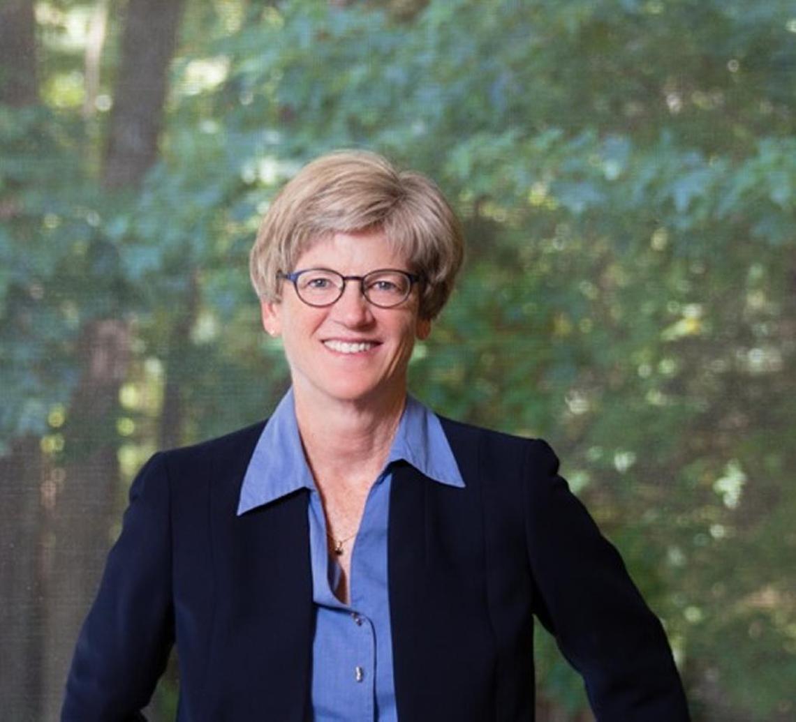 N.C. Rep. Marcia Morey, the appointed incumbent, is seeking election to the N.C. House District 30 seat.