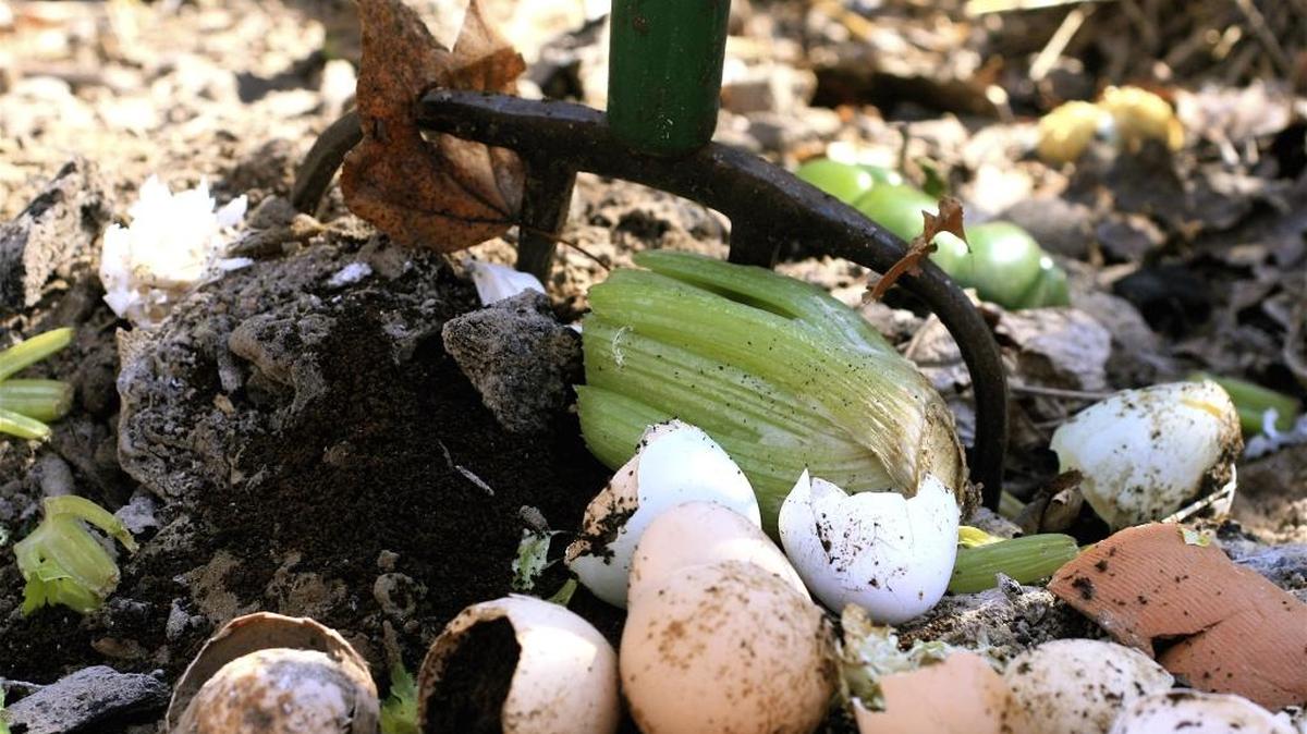 The study found the town of carrboro could stand to make significant improvements in the reduction of food waste by encouraging composting and commercial food-waste diversion.