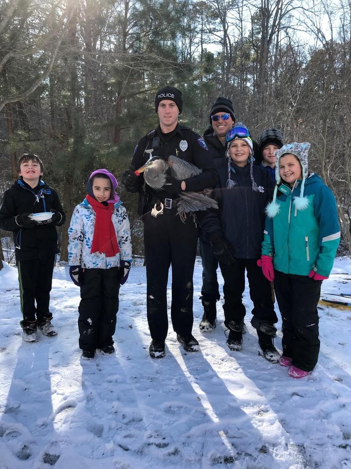 Carrboro police officer Tim Shine holds the great blue heron after he and neighbors rescued it from fishing line and ice in Morgan Creek.