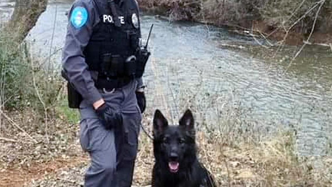 Hillsborough Police Officer Mike Toellen, pictured with his K9 Officer Viper, rescued a man from a burning car early Thursday on Old N.C. 86, south of town.