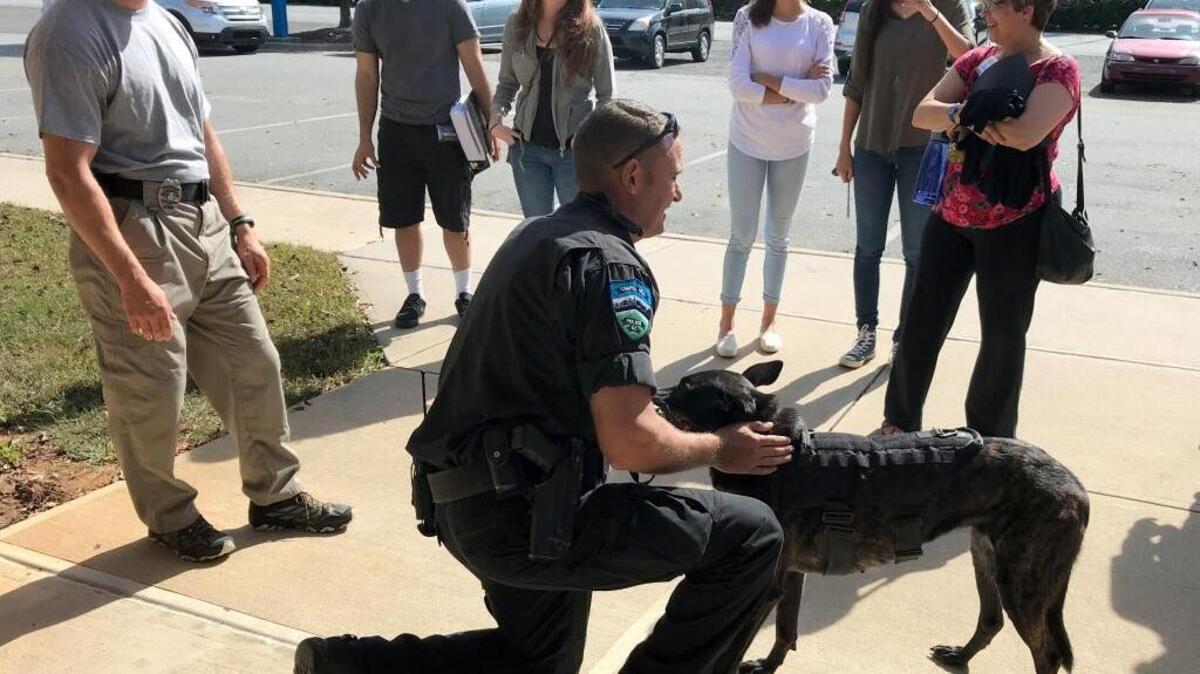 Chapel Hill Police Officer David Funk and his K9 partner Stitch demonstrate some of the techniques they use to find illegal drugs and missing people at the fall Community Police Academy in Chapel Hill. Funk and Stitch worked together for four years before the Dutch Shepard died while off duty on Nov. 30, 2017.