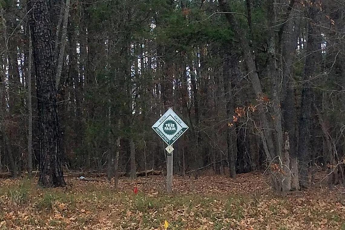 A forestry sign has been posted identifying this tract of land at Estes Drive and Martin Luther King Jr. Boulevard as a tree farm.
