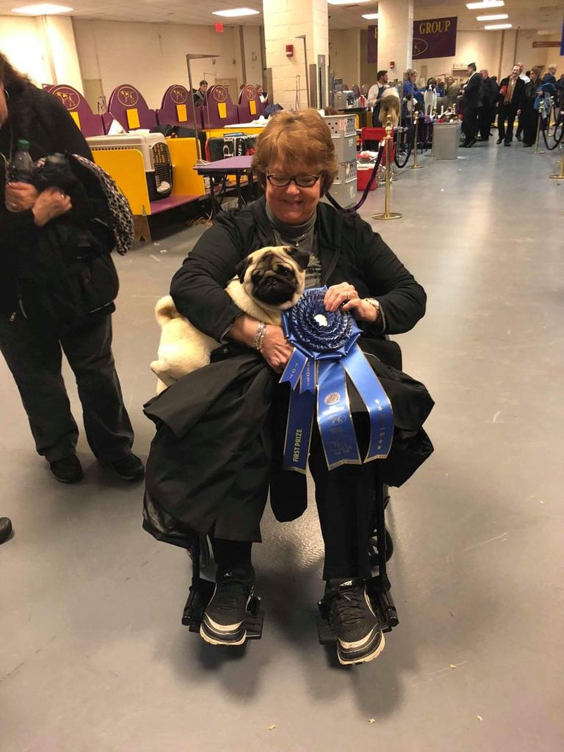 Biggie sits in owner Carolyn Koch’s lap following his victory in the toy group at the Westminster Kennel Club Dog Show at Madison Square Garden.