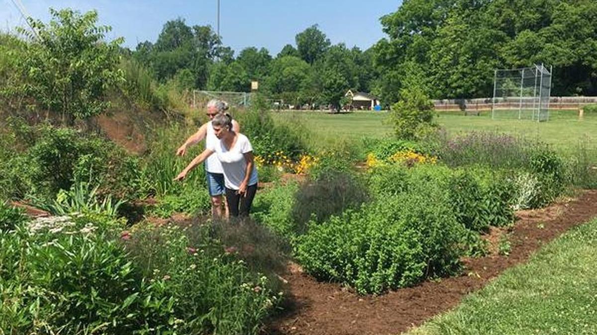 Gold Park pollinator garden in Hillsborough is pictured in bloom in this May 2016 file photo.