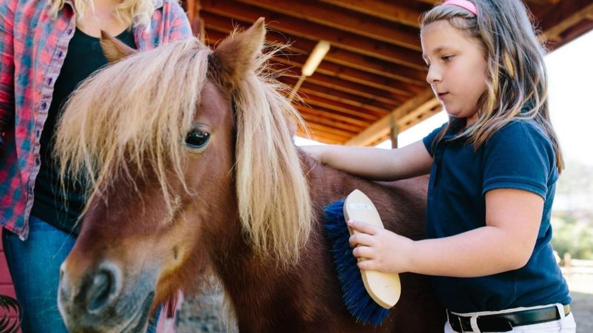Patience, a student at the Crossnore School & Children’s Home, brushes Rockstar, a therapy miniature horse, while therapist Katherine Harrell Jones looks on.