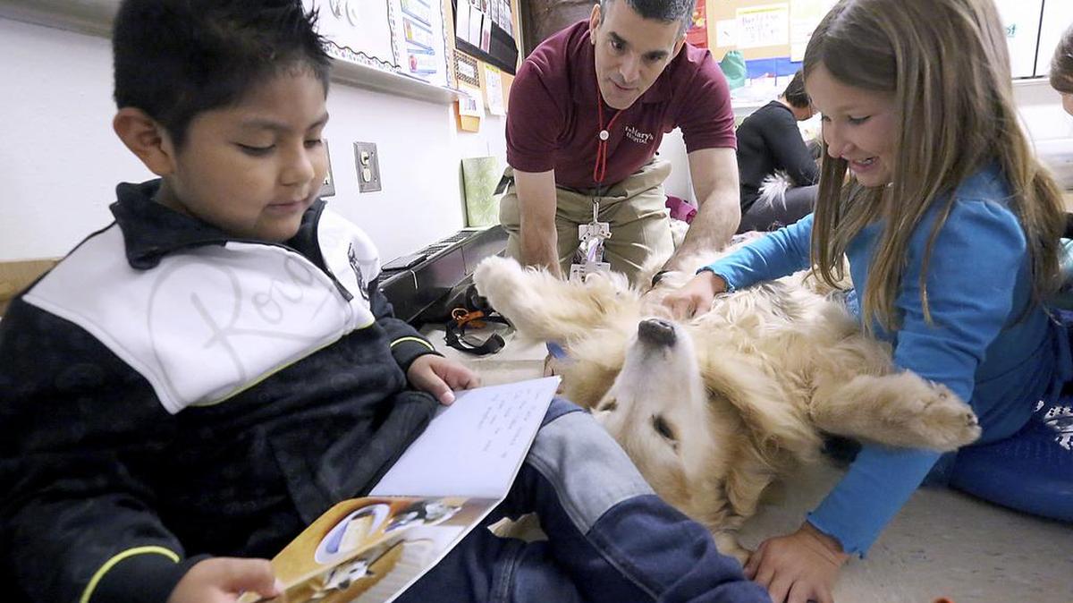 In this Friday, Oct. 27, 2017 photo, Westside Elementary School first graders Delfino Gomez Cuantle and Emrielle Roose share time with Hannah, a golden retriever owned by therapy dog handler Dan Darmstadter, center, during an interactive reading program at the school in Sun Prairie, Wis.