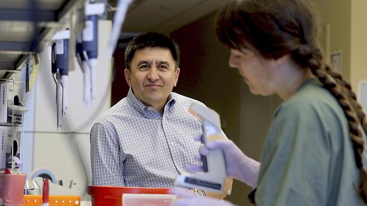 Shoukhrat Mitalipov, left, talks with research assistant Hayley Darby in the Mitalipov Lab at Oregon Health & Science University in Portland, Ore. Mitalipov led a research team that, for the first time, used gene editing to repair a disease-causing mutation in human embryos, laboratory experiments that might one day help prevent inherited diseases from being passed to future generations.