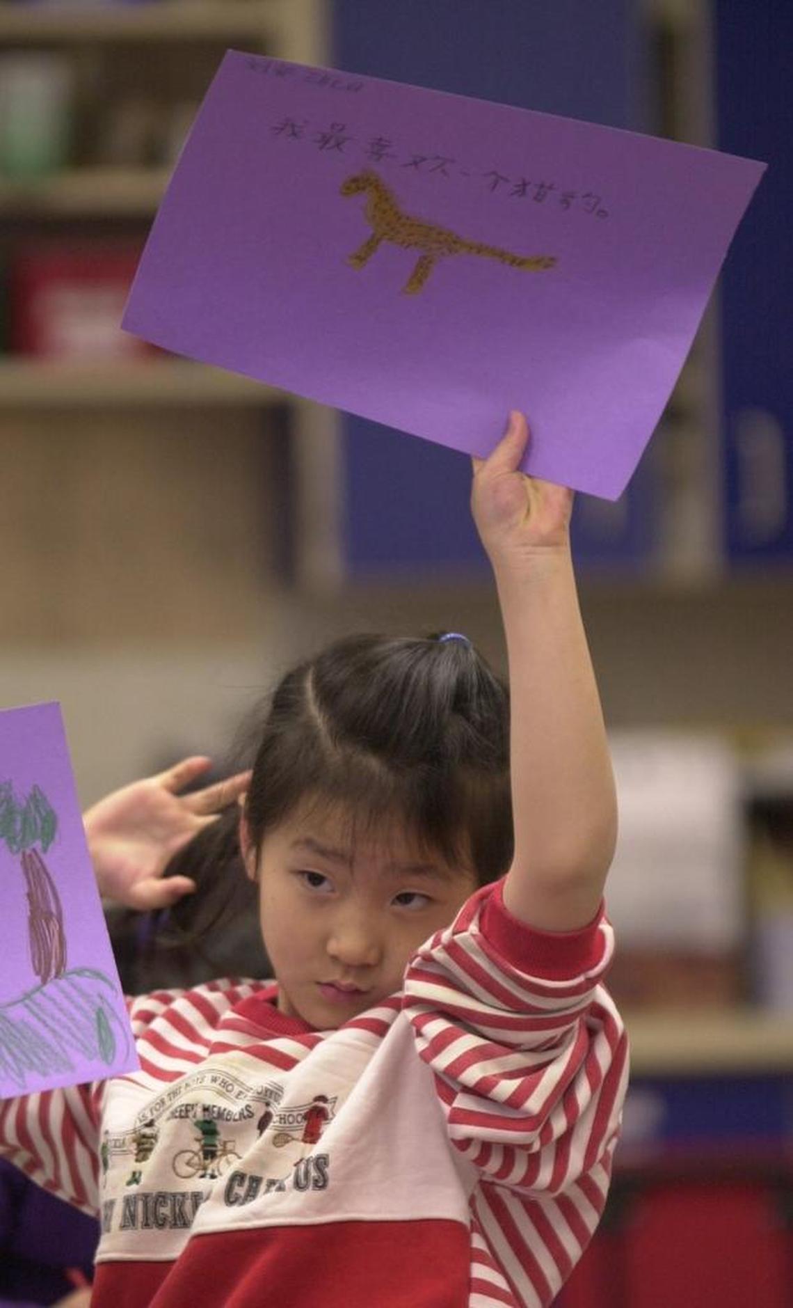 In this file photo at Glenwood Elementary School, student Amy Liu holds up her drawing of a cheetah and the Mandarin Chinese word for the animal.