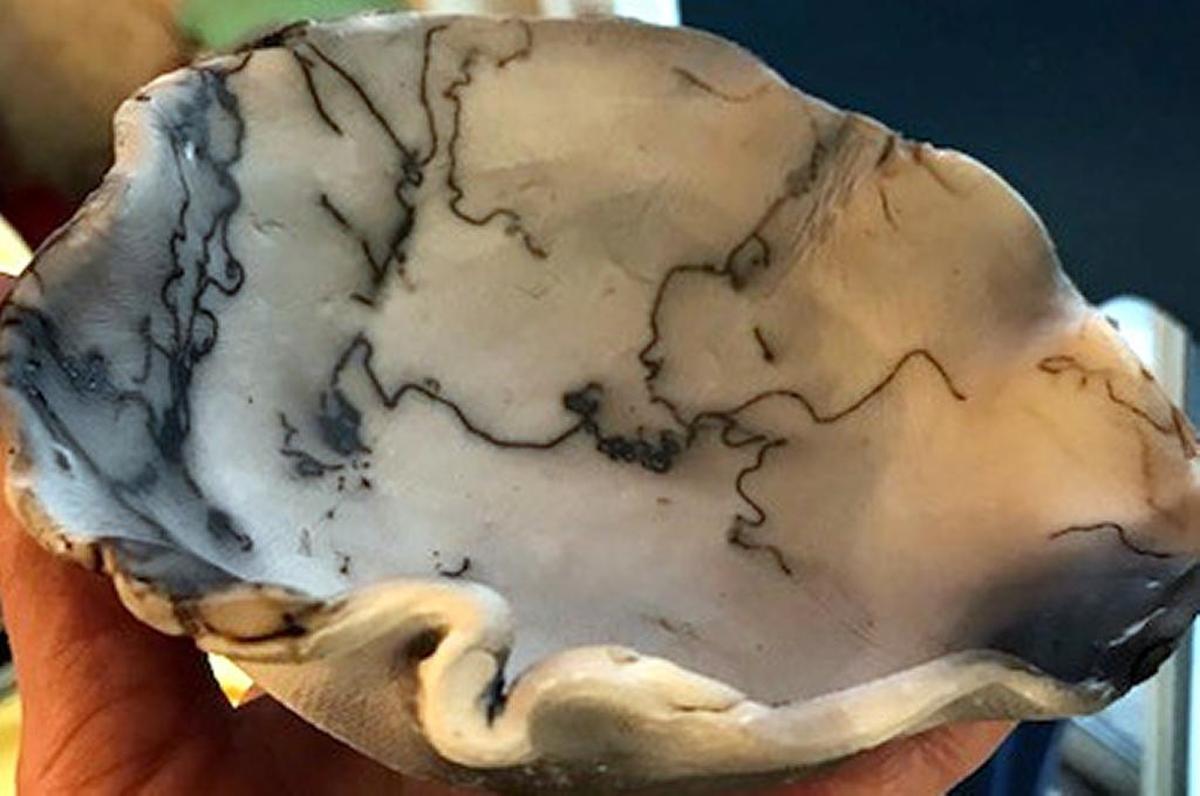 Pottery made by 'open-pit' method