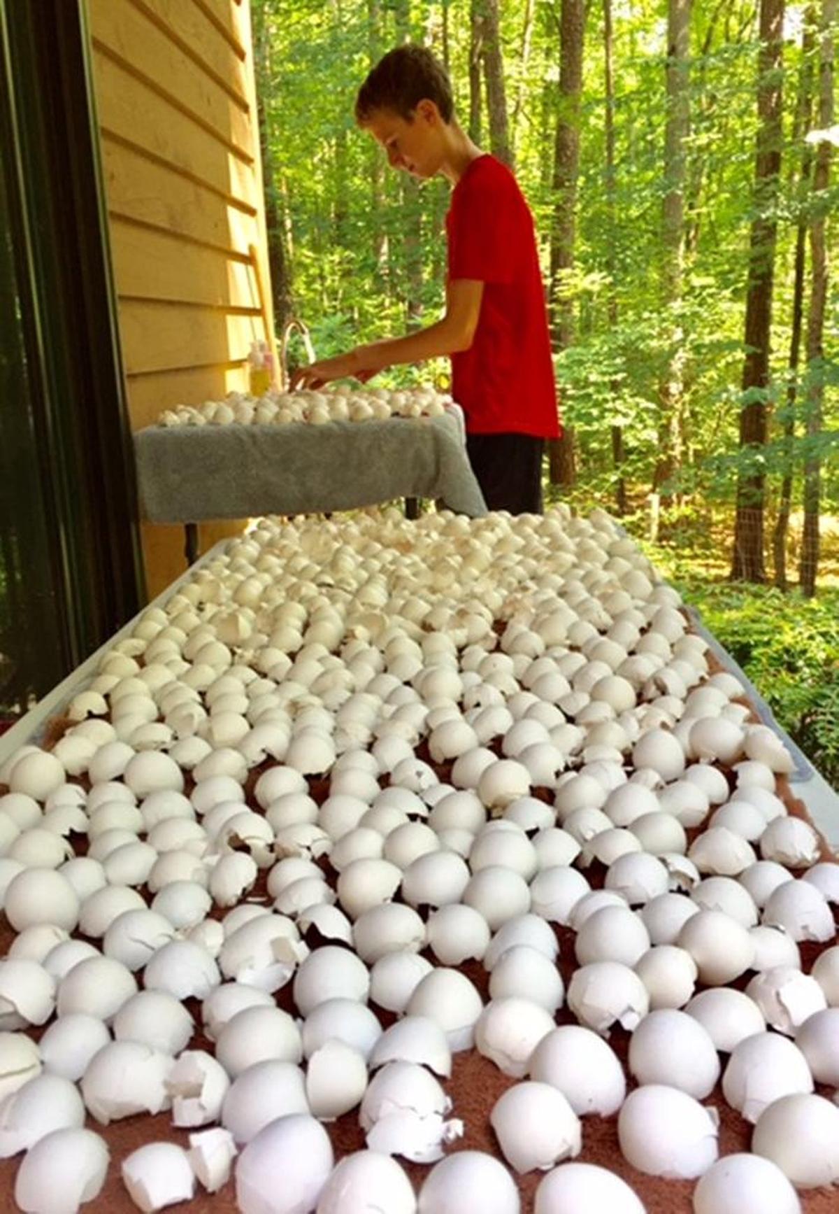 “Consistent donations of eggshells from Elmo’s Diner of Carrboro have allowed me the opportunity to practice and perfect my technique over the years,” says Chapel Hill artist Eli Melet.
