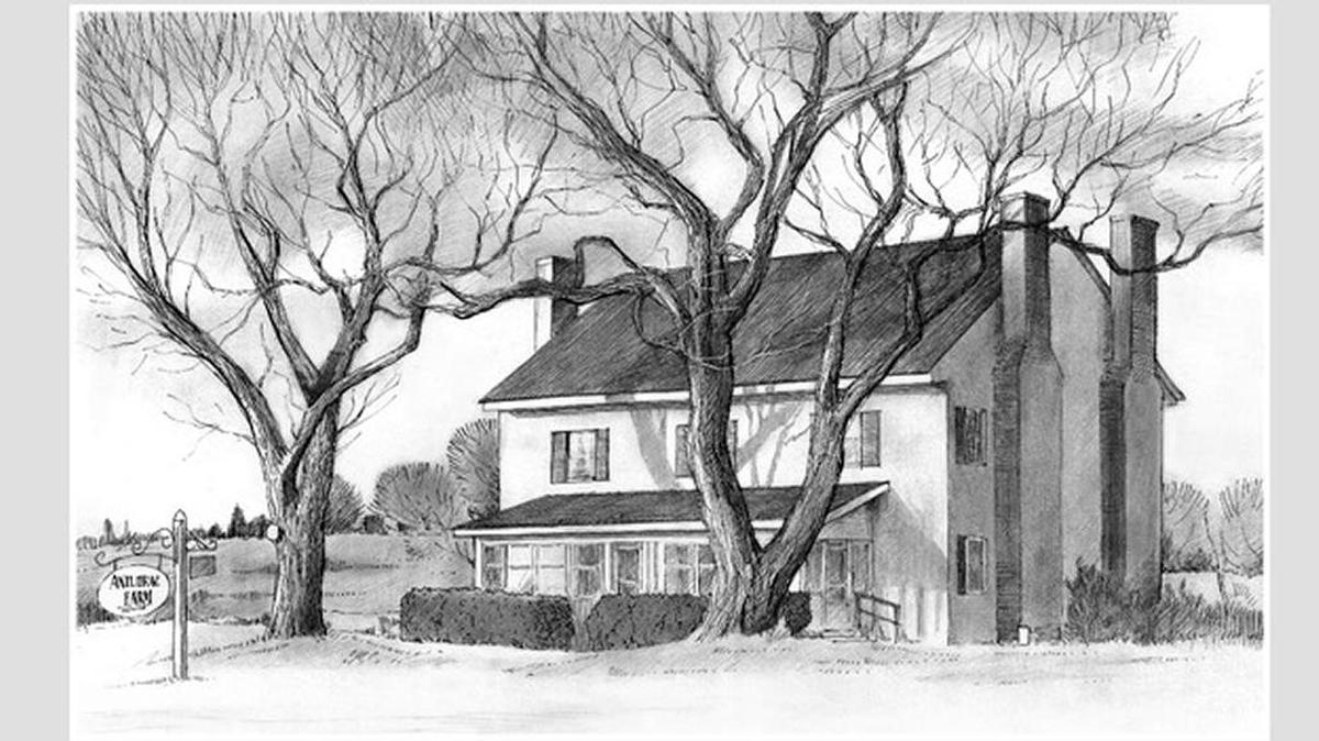 The homeplace was the centerpiece of the 750-acre farm assembled by Alfred Snipes that today retains 600 acres from west of Dodson’s Crossroads along Dairyland Road to Orange Grove Road.