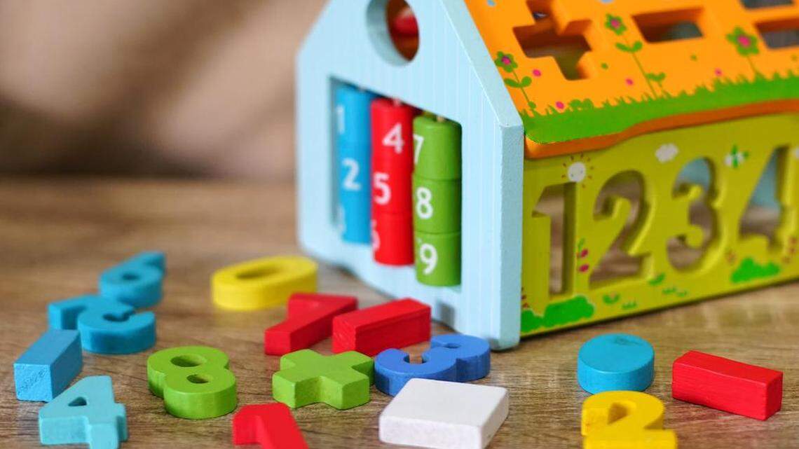 ‘Gone to get my children.’ SC home day care provider left infant alone with dogs