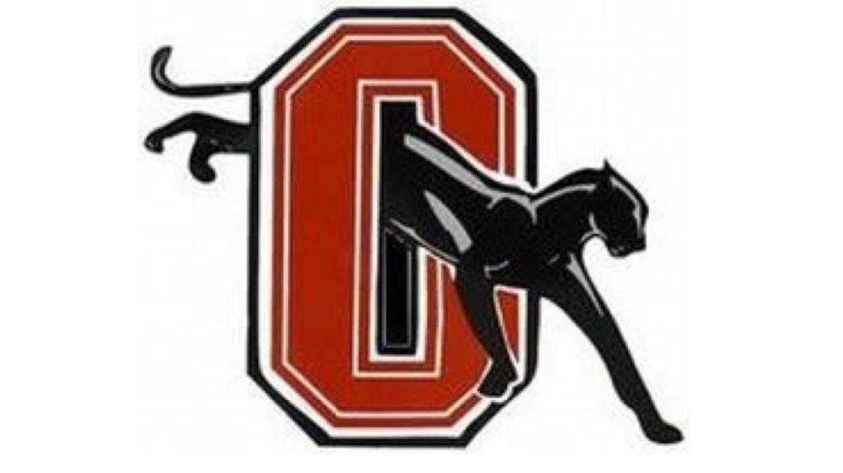 Orange Panthers logo.
