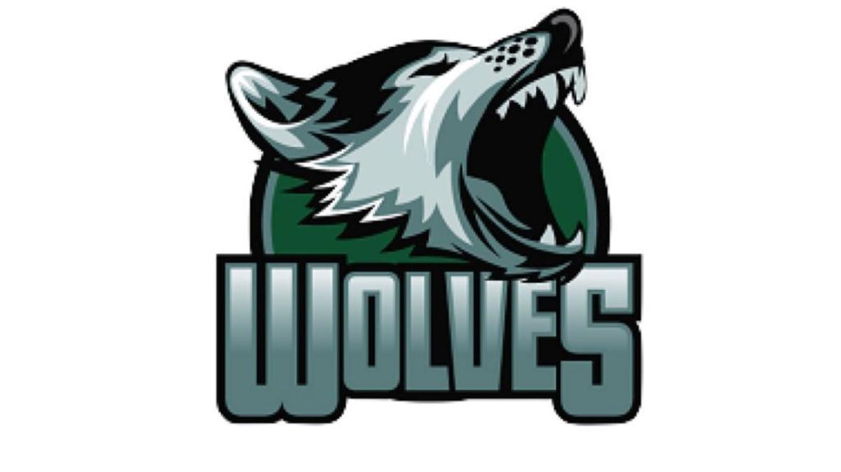 Woods Charter Wolves logo.